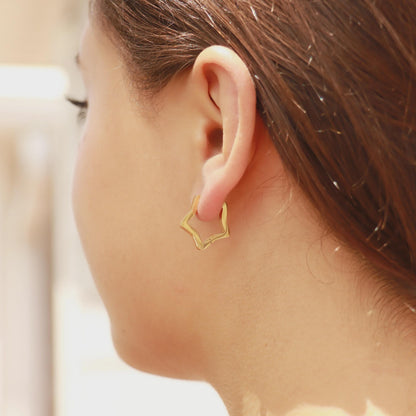 Star Huggie Earrings